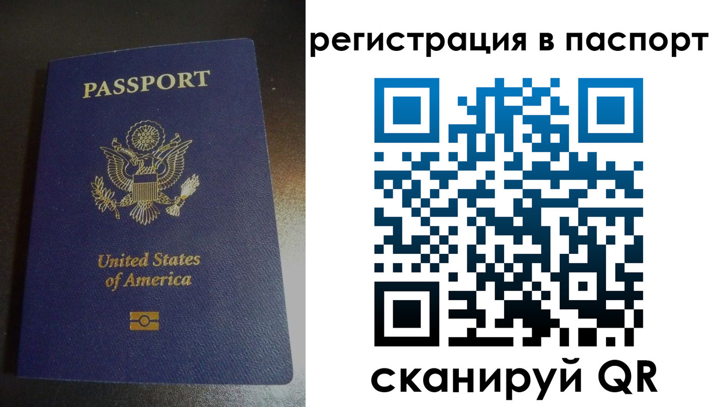 прописка для школы в Мариинском Посаде